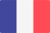 France Flag - NamePo Domain, Hosting